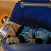 Space Buddies - galeria zdjęć - filmweb