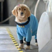 Space Buddies - galeria zdjęć - filmweb