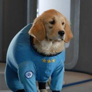 Space Buddies - galeria zdjęć - filmweb