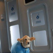 Space Buddies - galeria zdjęć - filmweb