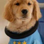 Space Buddies - galeria zdjęć - filmweb