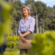 The Split - galeria zdjęć - filmweb