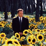 Ginostra - galeria zdjęć - filmweb