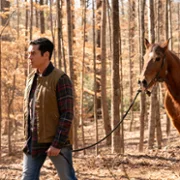Will Trent - galeria zdjęć - filmweb