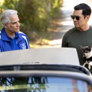 Will Trent - galeria zdjęć - filmweb