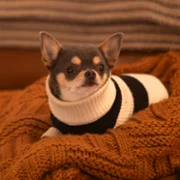 Will Trent - galeria zdjęć - filmweb