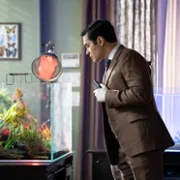 Will Trent - galeria zdjęć - filmweb