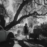 Fremont - galeria zdjęć - filmweb