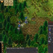 Northland - galeria zdjęć - filmweb