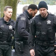 Chicago P.D. - galeria zdjęć - filmweb