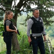 Chicago P.D. - galeria zdjęć - filmweb