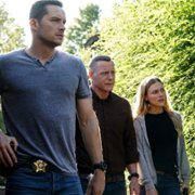 Chicago P.D. - galeria zdjęć - filmweb