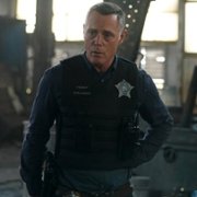 Chicago P.D. - galeria zdjęć - filmweb