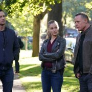 Chicago P.D. - galeria zdjęć - filmweb