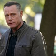 Chicago P.D. - galeria zdjęć - filmweb