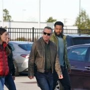 Chicago P.D. - galeria zdjęć - filmweb