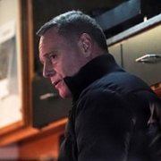 Chicago P.D. - galeria zdjęć - filmweb