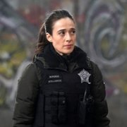 Chicago P.D. - galeria zdjęć - filmweb