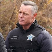 Chicago P.D. - galeria zdjęć - filmweb