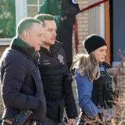 Chicago P.D. - galeria zdjęć - filmweb