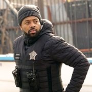 Chicago P.D. - galeria zdjęć - filmweb