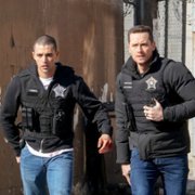 Chicago P.D. - galeria zdjęć - filmweb