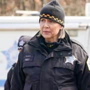 Chicago P.D. - galeria zdjęć - filmweb