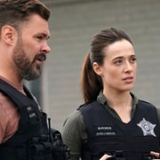 Chicago P.D. - galeria zdjęć - filmweb