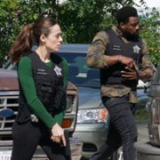 Chicago P.D. - galeria zdjęć - filmweb