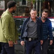 Chicago P.D. - galeria zdjęć - filmweb