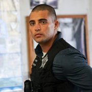 Chicago P.D. - galeria zdjęć - filmweb