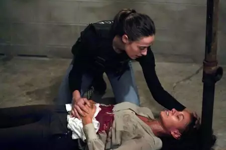 Chicago P.D. - galeria zdjęć - filmweb