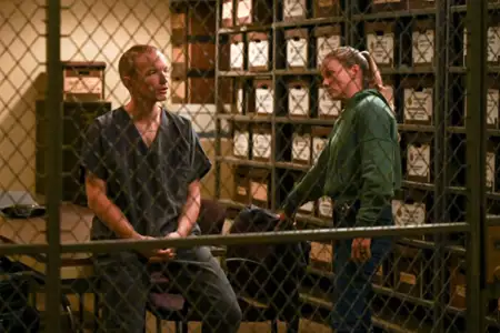 Chicago P.D. - galeria zdjęć - filmweb