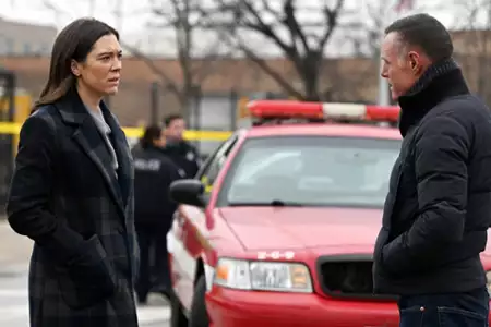 Chicago P.D. - galeria zdjęć - filmweb