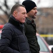 Chicago P.D. - galeria zdjęć - filmweb