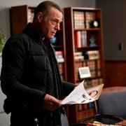 Chicago P.D. - galeria zdjęć - filmweb