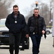Chicago P.D. - galeria zdjęć - filmweb