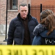 Chicago P.D. - galeria zdjęć - filmweb