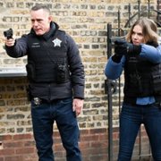 Chicago P.D. - galeria zdjęć - filmweb