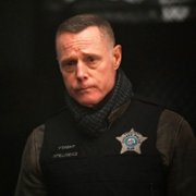 Chicago P.D. - galeria zdjęć - filmweb