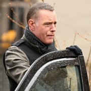 Chicago P.D. - galeria zdjęć - filmweb