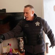 Chicago P.D. - galeria zdjęć - filmweb
