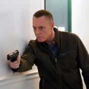 Chicago P.D. - galeria zdjęć - filmweb