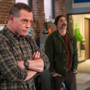 Chicago P.D. - galeria zdjęć - filmweb