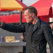 Chicago P.D. - galeria zdjęć - filmweb