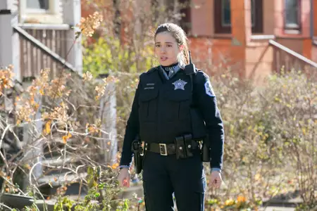 Chicago P.D. - galeria zdjęć - filmweb