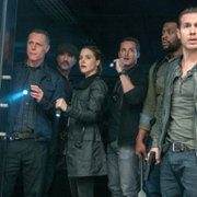 Chicago P.D. - galeria zdjęć - filmweb