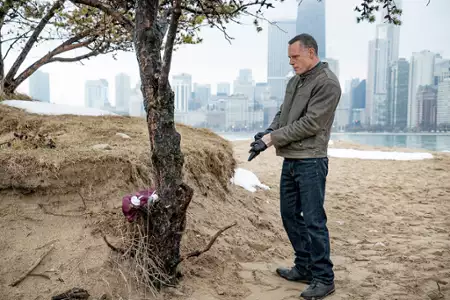 Chicago P.D. - galeria zdjęć - filmweb