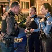 Chicago P.D. - galeria zdjęć - filmweb