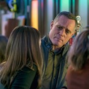 Chicago P.D. - galeria zdjęć - filmweb